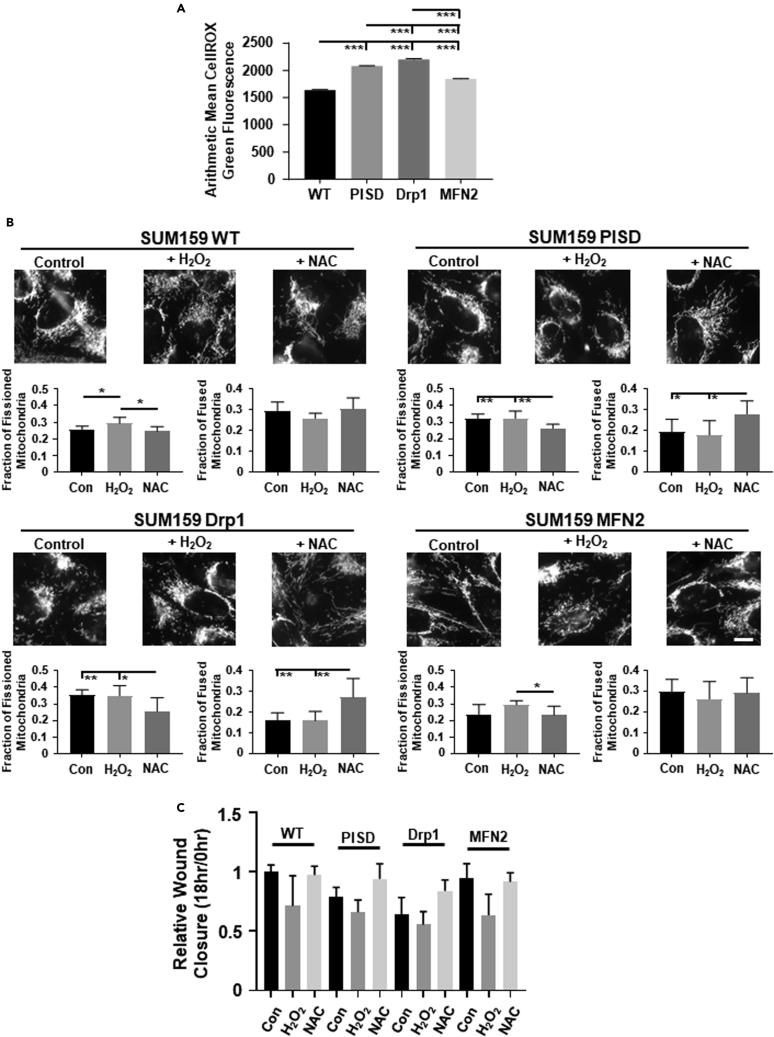 https://cdn.ncbi.nlm.nih.gov/pmc/blobs/e433/10206500/fce34c4759f3/gr3.jpg