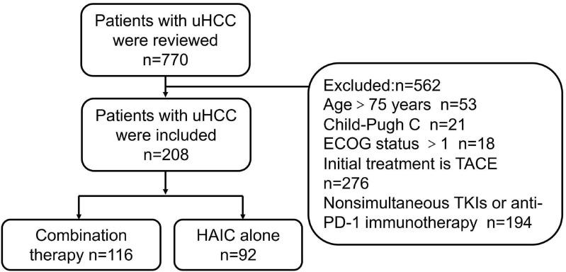 https://cdn.ncbi.nlm.nih.gov/pmc/blobs/e434/11328844/26a1688bd5b3/JHC-11-1557-g0001.jpg
