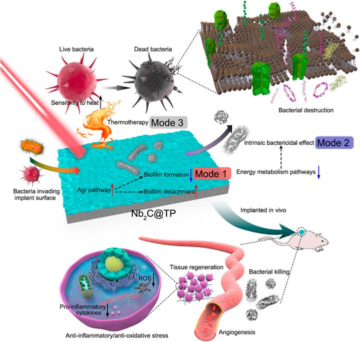 https://cdn.ncbi.nlm.nih.gov/pmc/blobs/e434/11812641/73902d82efe0/d4na00931b-f7.jpg