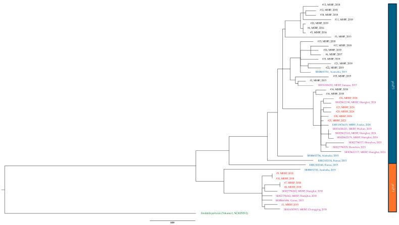 https://cdn.ncbi.nlm.nih.gov/pmc/blobs/e434/12388288/53558f0e064c/microorganisms-13-01947-g004.jpg