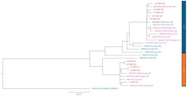 https://cdn.ncbi.nlm.nih.gov/pmc/blobs/e434/12388288/a7a6df0f04f8/microorganisms-13-01947-g003.jpg