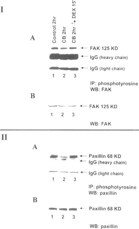 https://cdn.ncbi.nlm.nih.gov/pmc/blobs/e434/2230481/cace07255477/molmed00011-0035-a.jpg