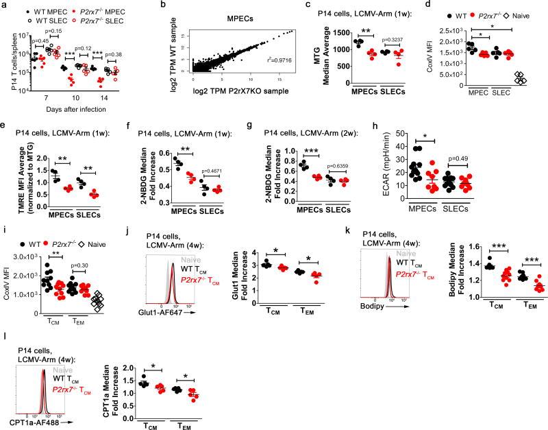 https://cdn.ncbi.nlm.nih.gov/pmc/blobs/e434/6054485/3df2a637c604/nihms968396f7.jpg
