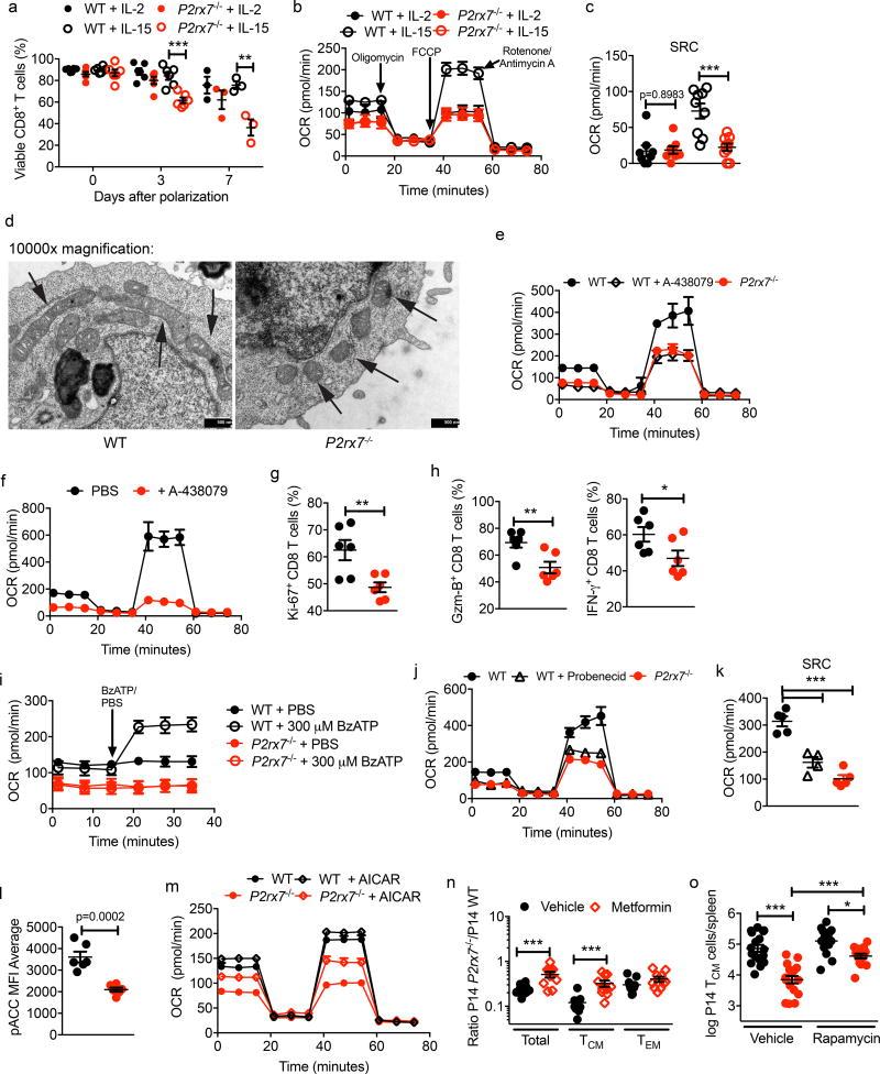 https://cdn.ncbi.nlm.nih.gov/pmc/blobs/e434/6054485/8308d19ba10d/nihms968396f3.jpg