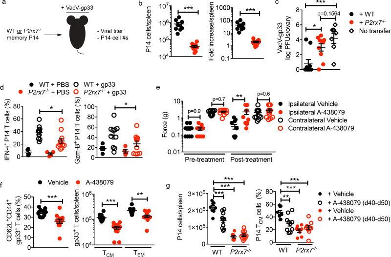 https://cdn.ncbi.nlm.nih.gov/pmc/blobs/e434/6054485/b47e202b15bd/nihms968396f4.jpg