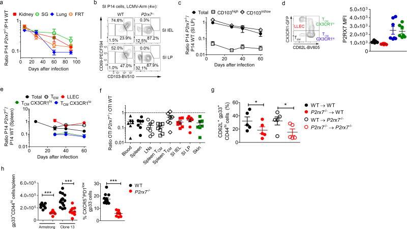 https://cdn.ncbi.nlm.nih.gov/pmc/blobs/e434/6054485/be5a71bf52ec/nihms968396f5.jpg