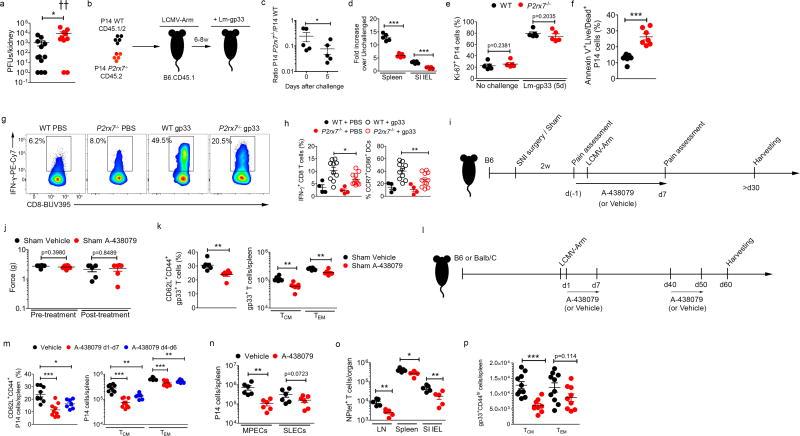 https://cdn.ncbi.nlm.nih.gov/pmc/blobs/e434/6054485/d8e658716c09/nihms968396f13.jpg