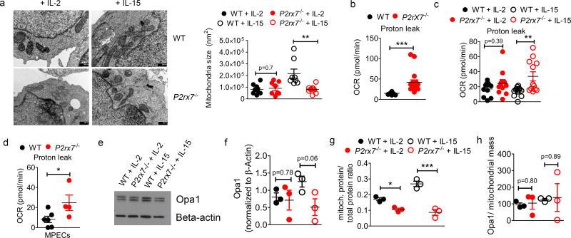 https://cdn.ncbi.nlm.nih.gov/pmc/blobs/e434/6054485/e4e1a852f83a/nihms968396f10.jpg