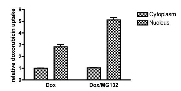 https://cdn.ncbi.nlm.nih.gov/pmc/blobs/e435/1242219/41d99f58c835/1471-2407-5-114-4.jpg