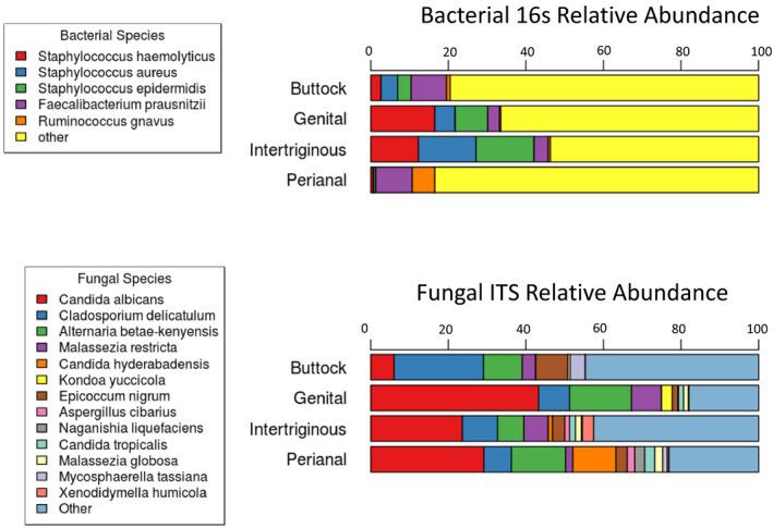 https://cdn.ncbi.nlm.nih.gov/pmc/blobs/e435/8518357/60bfea1a74fa/EXD-30-1409-g001.jpg