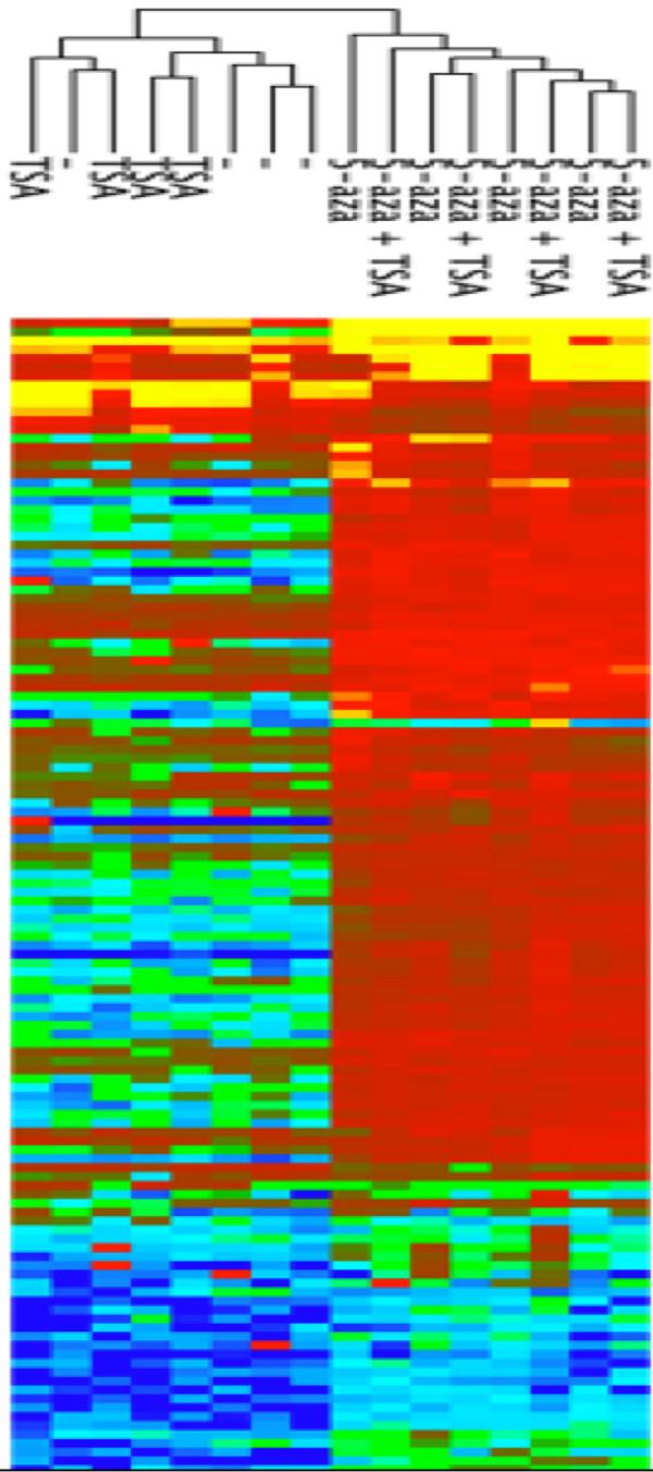 https://cdn.ncbi.nlm.nih.gov/pmc/blobs/e438/1574318/6cbbc035562a/1471-2164-7-181-2.jpg