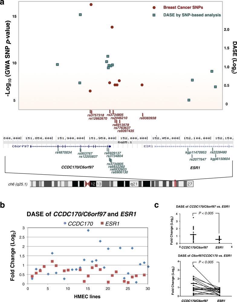 https://cdn.ncbi.nlm.nih.gov/pmc/blobs/e43d/5552109/6ee1d7ffb28c/gr1.jpg