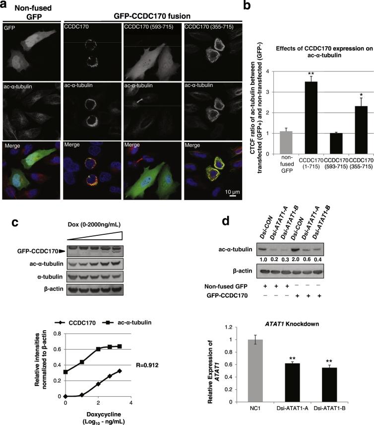 https://cdn.ncbi.nlm.nih.gov/pmc/blobs/e43d/5552109/a8ffa6fca5cd/gr4.jpg