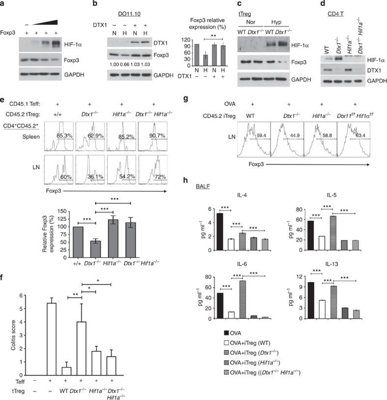 https://cdn.ncbi.nlm.nih.gov/pmc/blobs/e43e/4346631/5c4c00df22ea/ncomms7353-f6.jpg