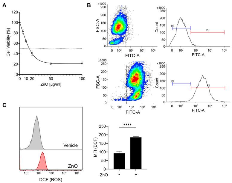 https://cdn.ncbi.nlm.nih.gov/pmc/blobs/e43f/11050686/04585470d8aa/ijms-25-04285-g001.jpg