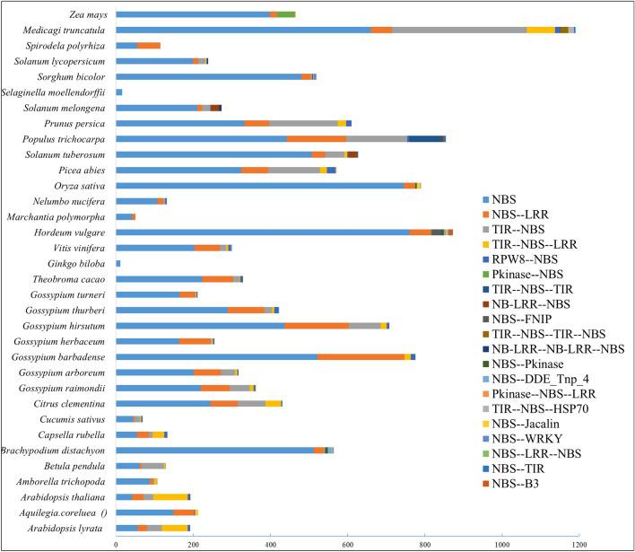 https://cdn.ncbi.nlm.nih.gov/pmc/blobs/e43f/11126693/bdc30216e88c/41598_2024_62876_Fig1_HTML.jpg