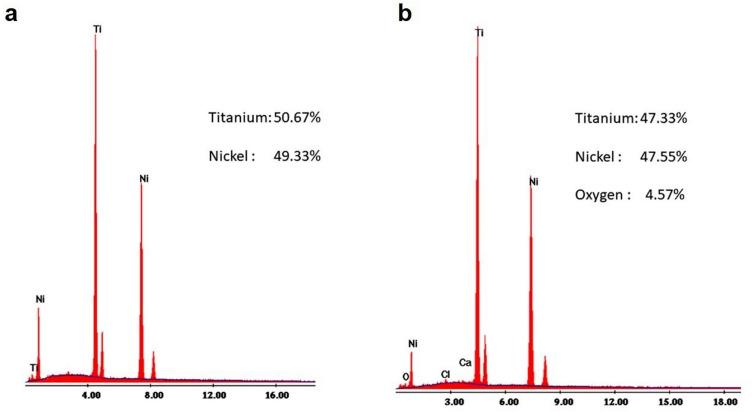 https://cdn.ncbi.nlm.nih.gov/pmc/blobs/e43f/8217493/39eb8e11146b/41598_2021_92382_Fig8_HTML.jpg