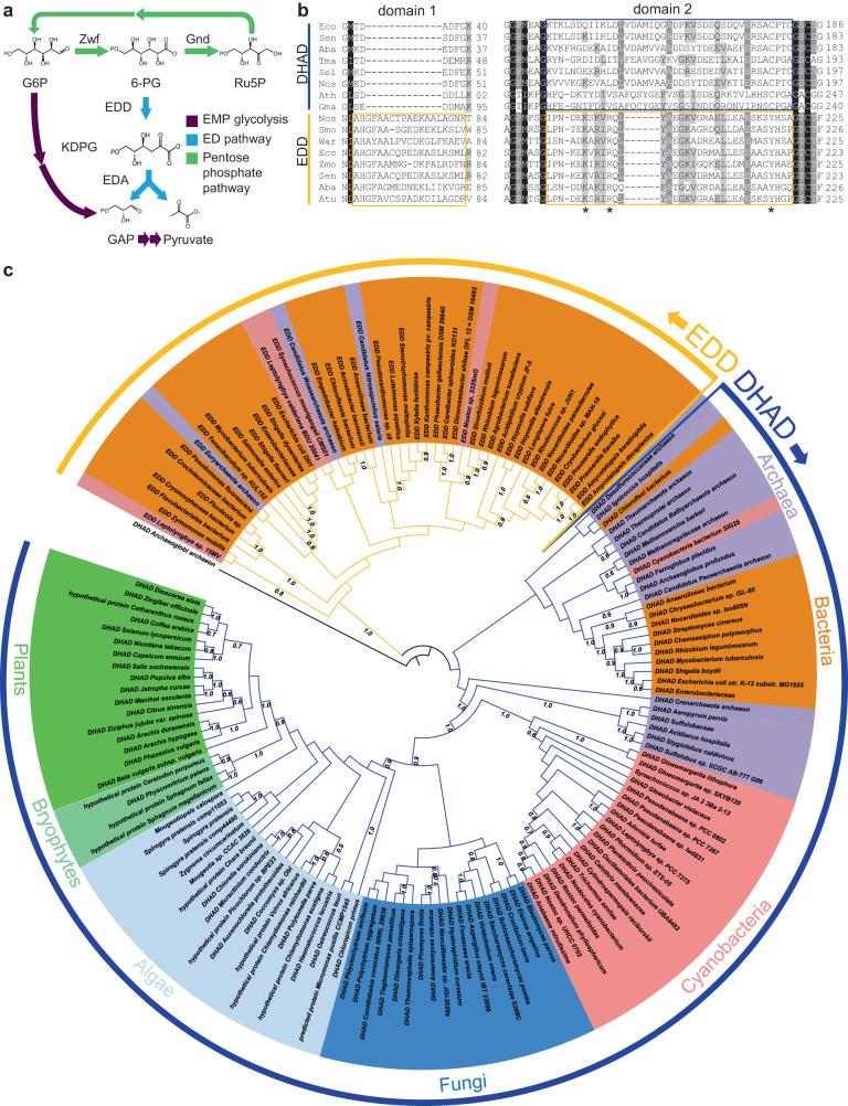 https://cdn.ncbi.nlm.nih.gov/pmc/blobs/e441/10847513/63a0c8f9848a/41467_2024_45384_Fig1_HTML.jpg