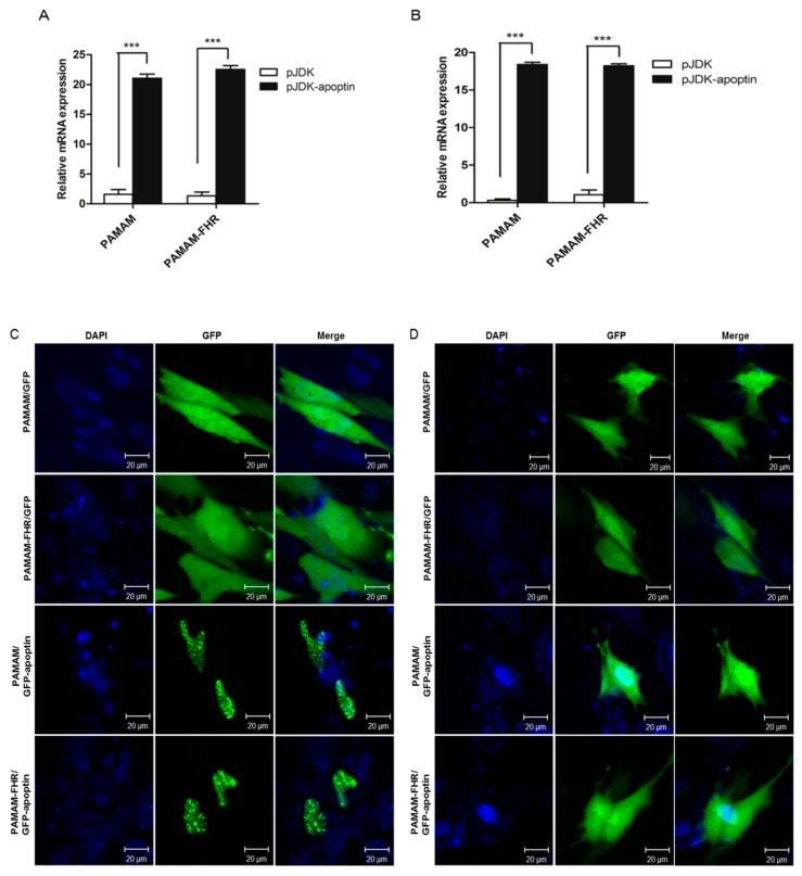 https://cdn.ncbi.nlm.nih.gov/pmc/blobs/e441/6419211/1305974806ff/polymers-11-00296-g005.jpg