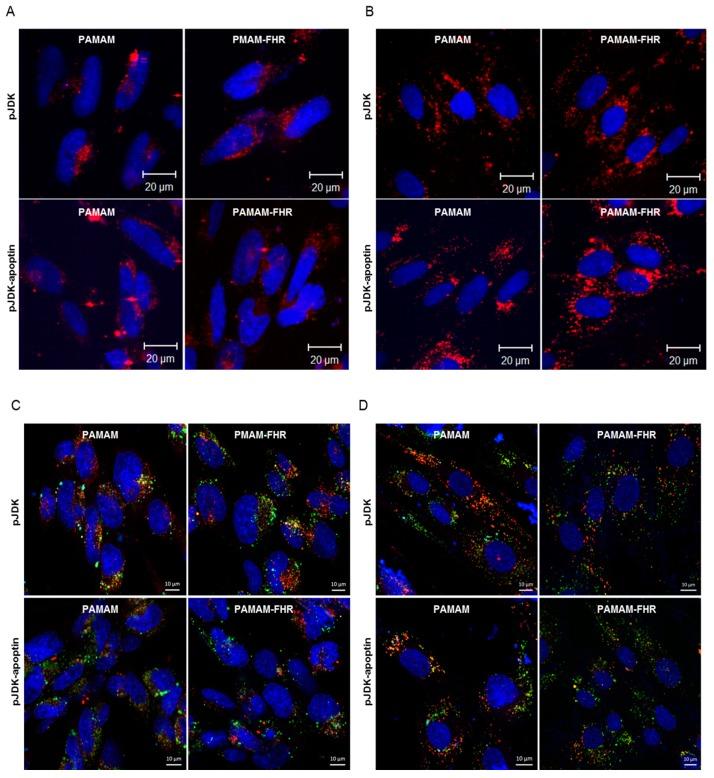 https://cdn.ncbi.nlm.nih.gov/pmc/blobs/e441/6419211/8ad80f4c447c/polymers-11-00296-g006.jpg