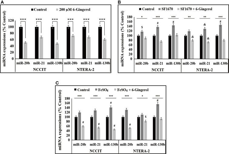 https://cdn.ncbi.nlm.nih.gov/pmc/blobs/e442/8595921/8cbafff76de0/fonc-11-781720-g006.jpg