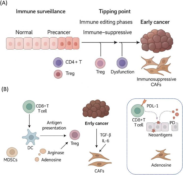 https://cdn.ncbi.nlm.nih.gov/pmc/blobs/e443/12331494/e91b622e452b/fmolb-12-1643024-g001.jpg