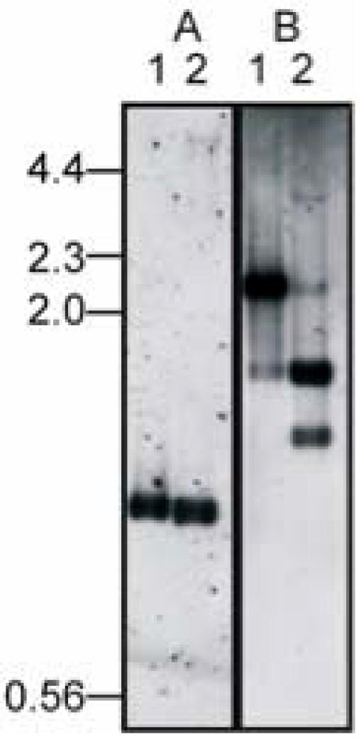 https://cdn.ncbi.nlm.nih.gov/pmc/blobs/e443/2593044/6215dcd16d56/TOMICROJ-2-1_F3.jpg