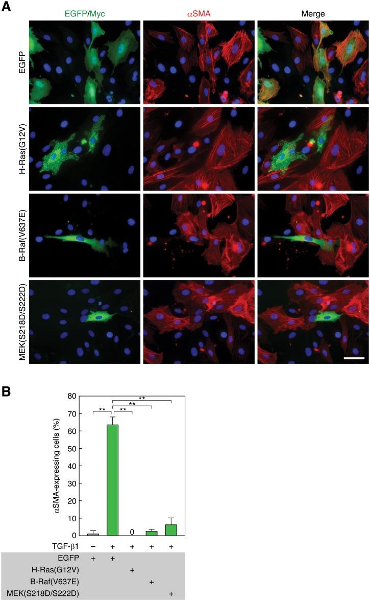https://cdn.ncbi.nlm.nih.gov/pmc/blobs/e444/4440819/de8a849c779f/pone.0127888.g003.jpg