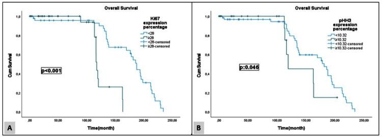 https://cdn.ncbi.nlm.nih.gov/pmc/blobs/e446/10981782/5f0da3b1dae4/cureus-0016-00000055297-i03.jpg