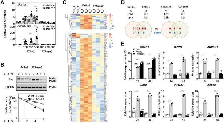 https://cdn.ncbi.nlm.nih.gov/pmc/blobs/e446/11758954/2c8a339df3f2/gr3.jpg