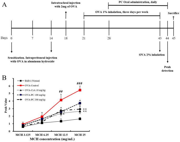 https://cdn.ncbi.nlm.nih.gov/pmc/blobs/e449/12029468/1adb55ead9bf/molecules-30-01795-g002.jpg