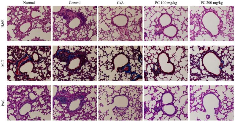 https://cdn.ncbi.nlm.nih.gov/pmc/blobs/e449/12029468/4b5b639f36a5/molecules-30-01795-g003.jpg