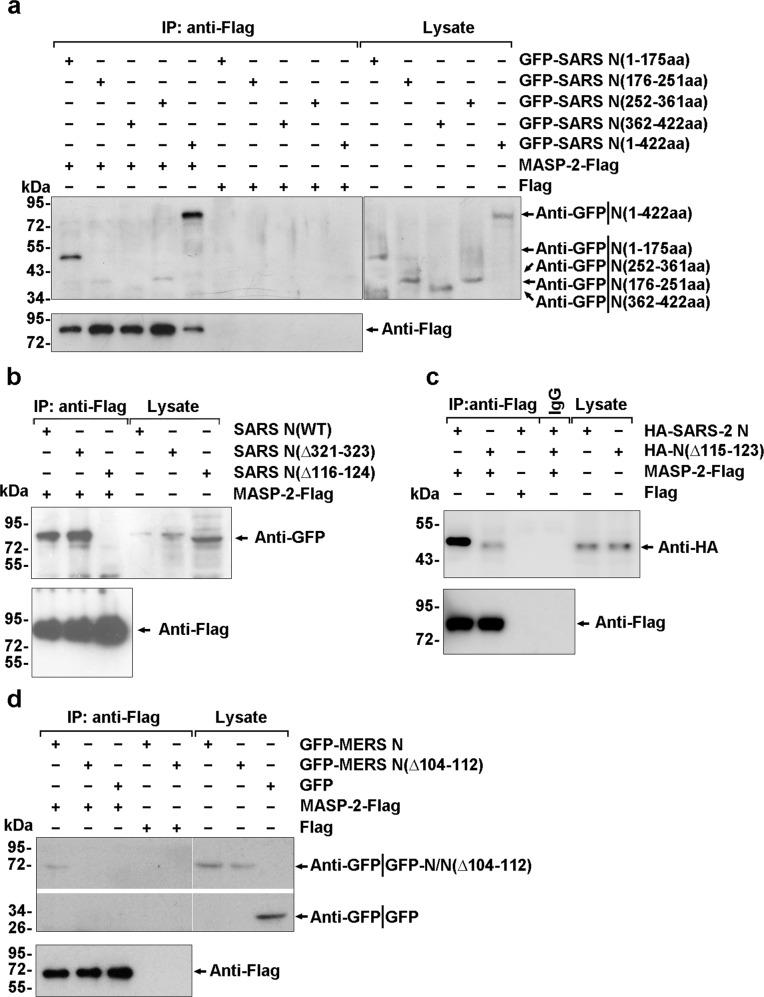 https://cdn.ncbi.nlm.nih.gov/pmc/blobs/e449/9470675/752974a9dc54/41392_2022_1133_Fig2_HTML.jpg