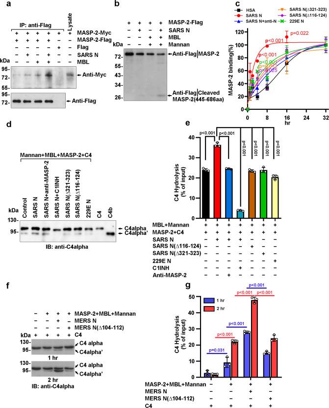 https://cdn.ncbi.nlm.nih.gov/pmc/blobs/e449/9470675/95f6ed12299b/41392_2022_1133_Fig3_HTML.jpg