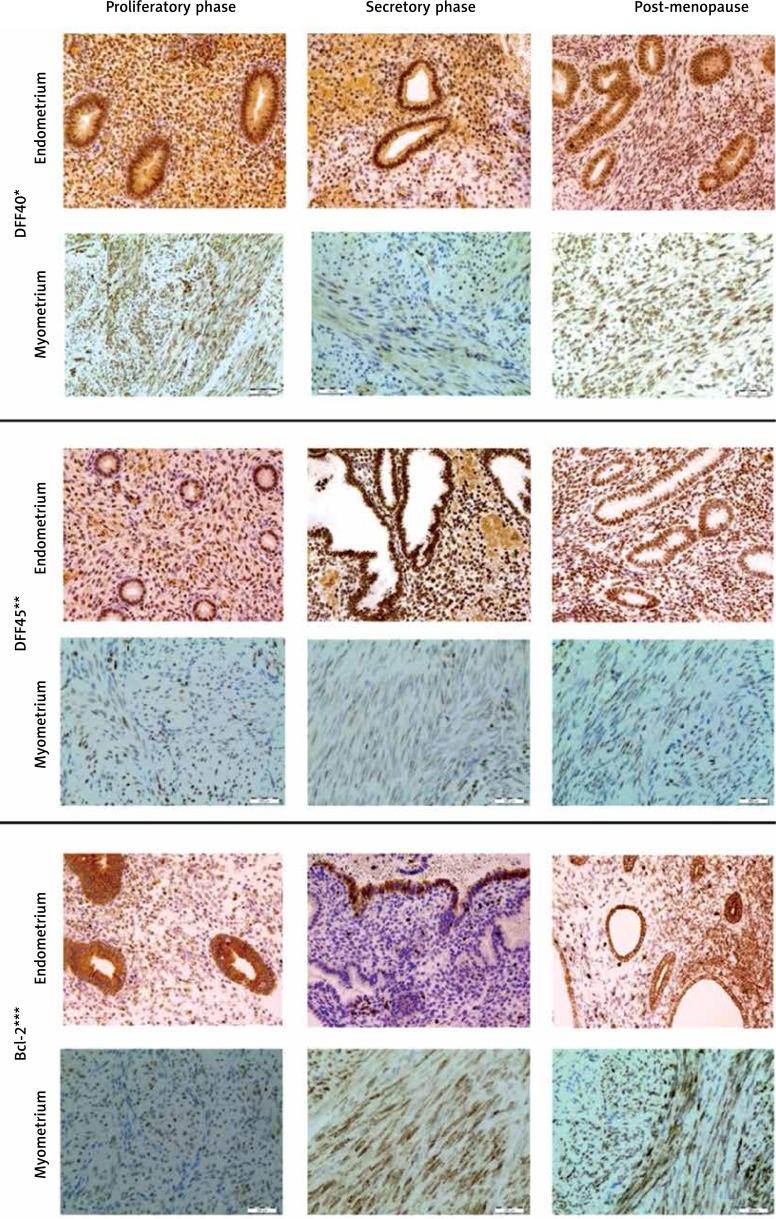 https://cdn.ncbi.nlm.nih.gov/pmc/blobs/e44b/6209718/6cf99597d680/AMS-14-30461-g001.jpg