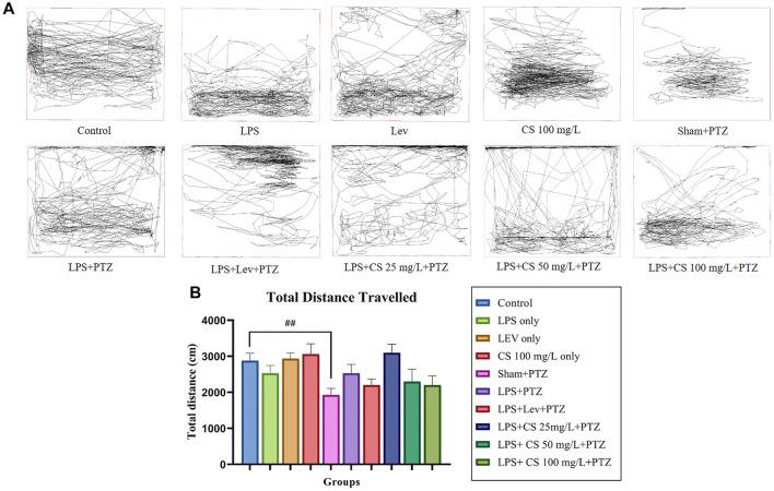 https://cdn.ncbi.nlm.nih.gov/pmc/blobs/e44b/9014177/2417ee5a3e54/fphar-13-821618-g001.jpg