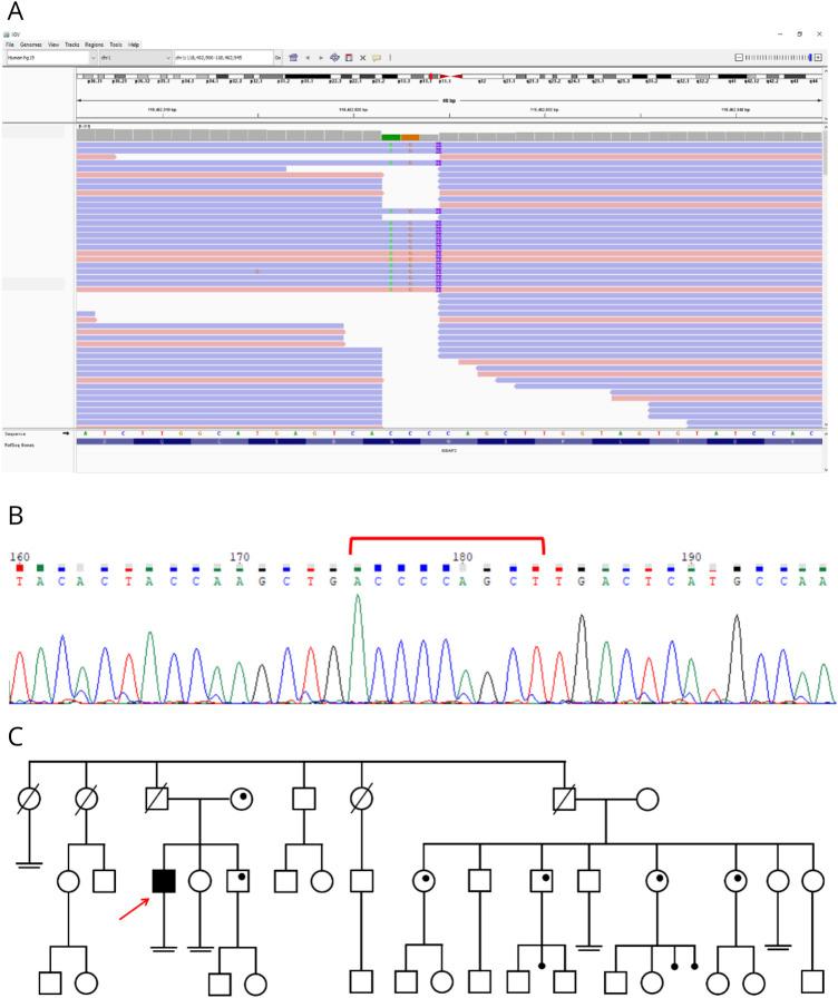 https://cdn.ncbi.nlm.nih.gov/pmc/blobs/e44c/12135070/2ae121acaaed/NXG-2024-100301f2.jpg