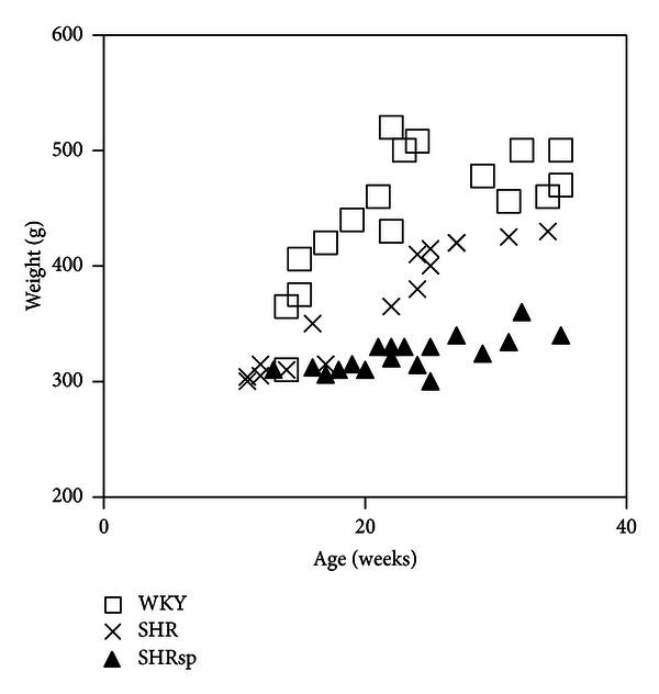 https://cdn.ncbi.nlm.nih.gov/pmc/blobs/e44c/3655577/aaee354c3602/IJHT2013-849750.001.jpg