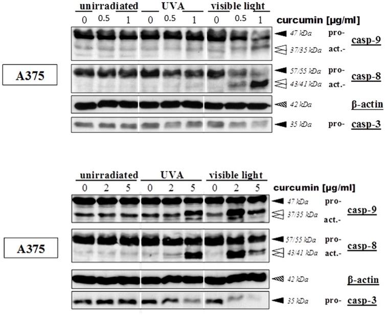 https://cdn.ncbi.nlm.nih.gov/pmc/blobs/e44c/3821844/48df6730676c/pone.0079748.g006.jpg