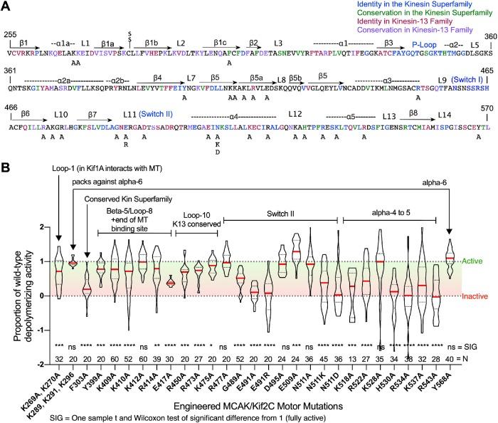 https://cdn.ncbi.nlm.nih.gov/pmc/blobs/e44c/7202071/54f194ab7760/mbc-31-580-g001.jpg