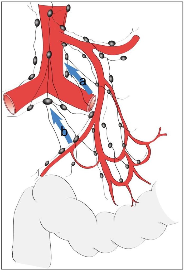 https://cdn.ncbi.nlm.nih.gov/pmc/blobs/e44c/8318923/a9b74fd6b800/gr5.jpg