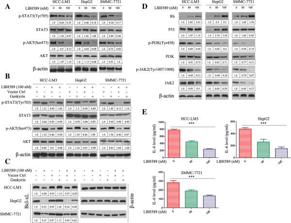 https://cdn.ncbi.nlm.nih.gov/pmc/blobs/e44d/3853770/dba70ad2e8e3/1476-4598-12-114-2.jpg