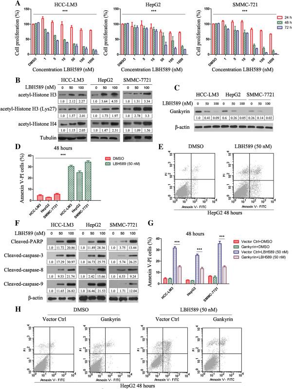 https://cdn.ncbi.nlm.nih.gov/pmc/blobs/e44d/3853770/de89d0e3db6a/1476-4598-12-114-1.jpg