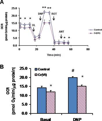 https://cdn.ncbi.nlm.nih.gov/pmc/blobs/e44d/4141194/fdf0eb6cc946/gr2.jpg