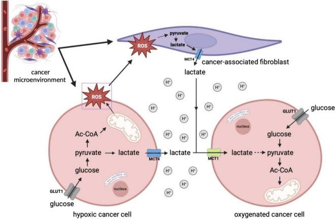 https://cdn.ncbi.nlm.nih.gov/pmc/blobs/e44f/10374743/b8383ce4165a/43440_2023_504_Fig3_HTML.jpg