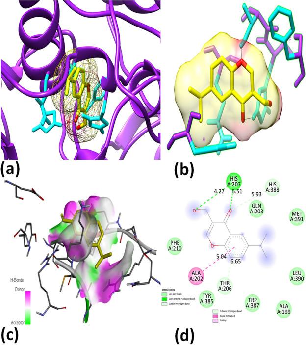 https://cdn.ncbi.nlm.nih.gov/pmc/blobs/e450/11162442/6aa7c1f00c54/41598_2024_63237_Fig4_HTML.jpg