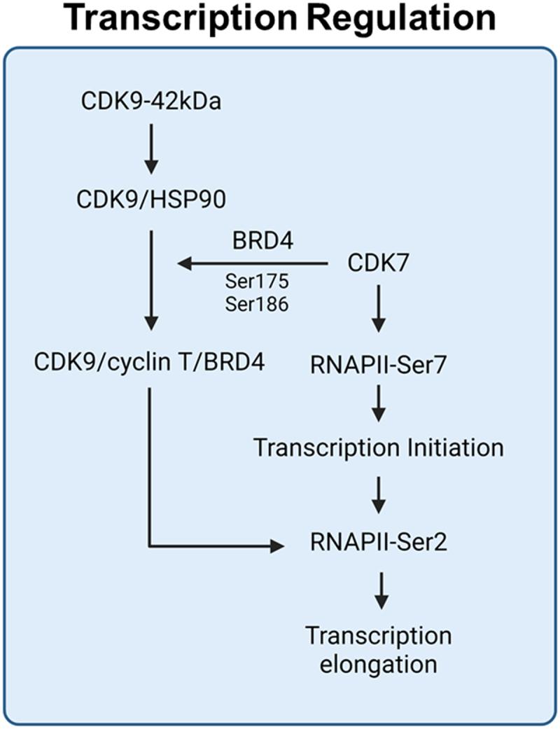https://cdn.ncbi.nlm.nih.gov/pmc/blobs/e451/12296136/bc705e516b8d/KCCY_A_2485844_F0002_OC.jpg