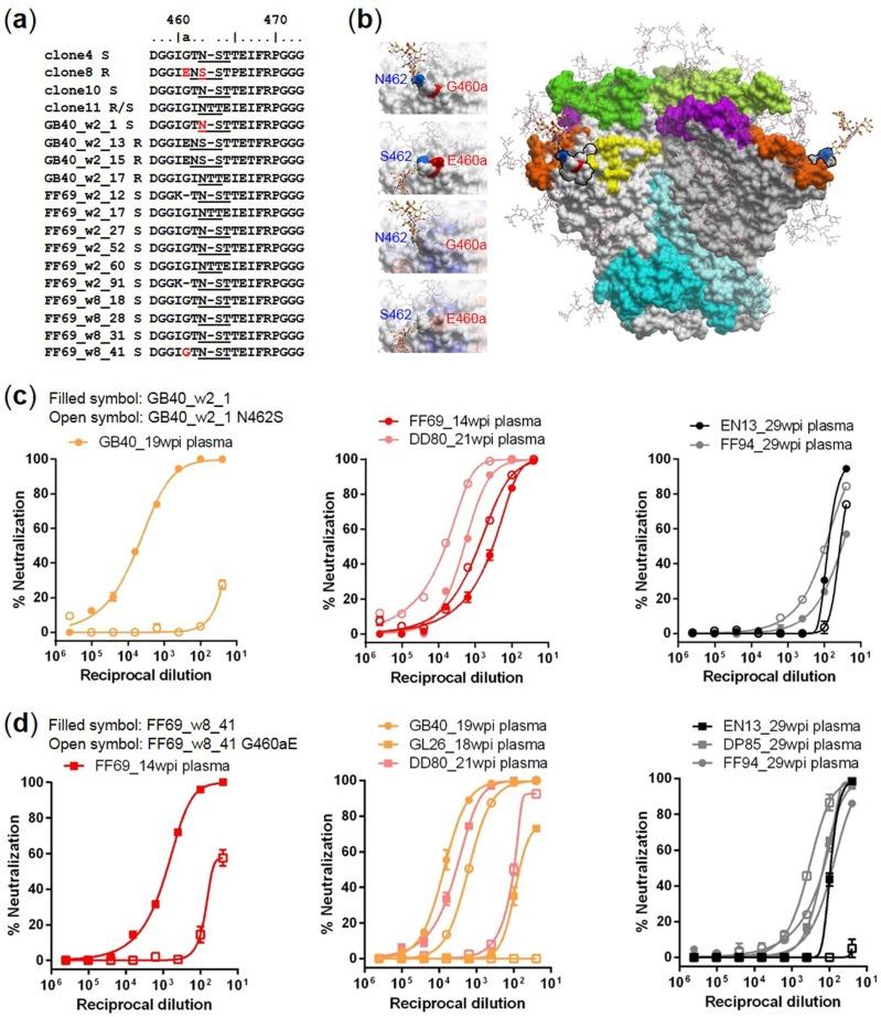 https://cdn.ncbi.nlm.nih.gov/pmc/blobs/e453/5977255/12cd33a10178/viruses-10-00262-g004.jpg