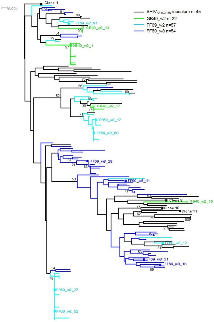 https://cdn.ncbi.nlm.nih.gov/pmc/blobs/e453/5977255/c8f854ae08b2/viruses-10-00262-g002.jpg