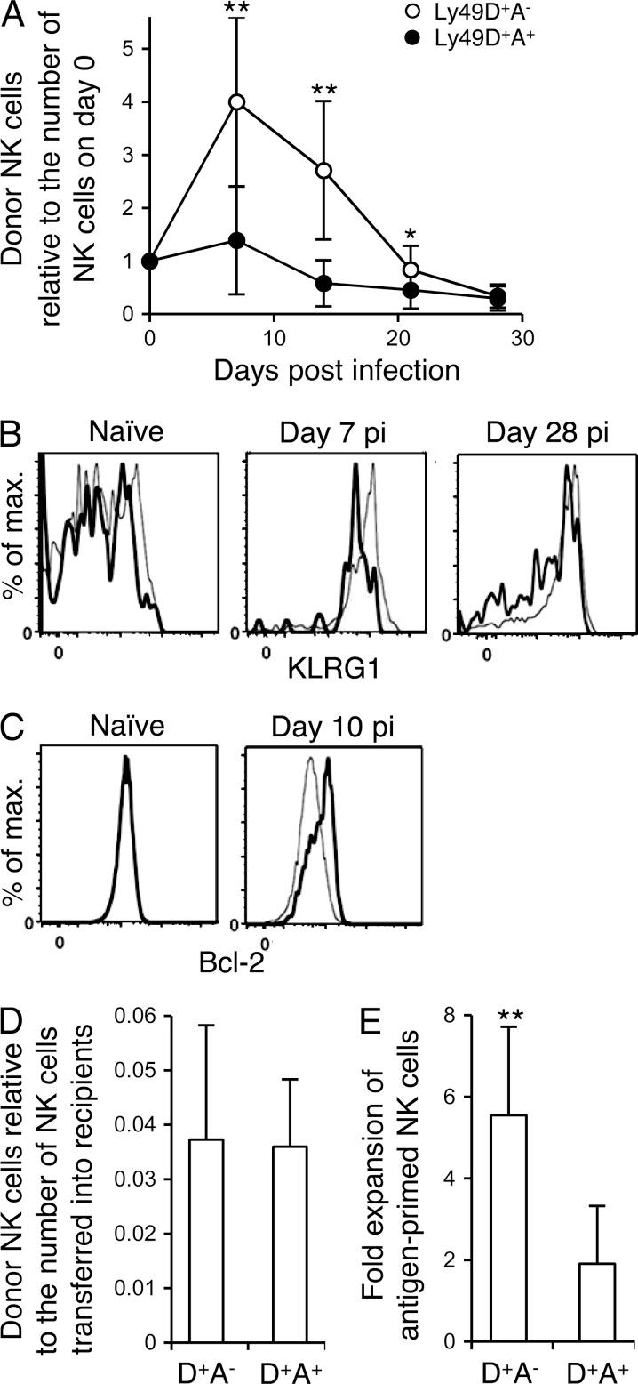 https://cdn.ncbi.nlm.nih.gov/pmc/blobs/e455/4235640/eac4d893f879/JEM_20140798_Fig4.jpg